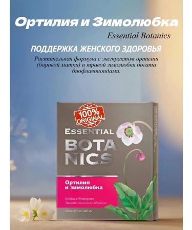 Health and Siberia Ortilia and winter -lump