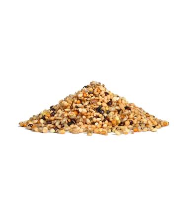 Rio food for exotic birds 500g - Buy Online on GoSupps.com