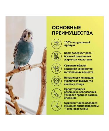 Grums Feed for wavy parrots 400 gr 3 pcs - Buy Online on GoSupps.com