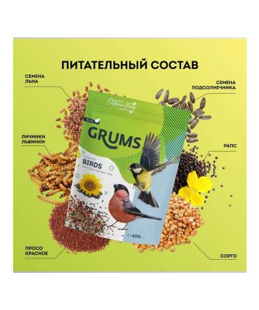 Grums Feed for street birds 400 g 3 pcs - Buy Online on GoSupps.com