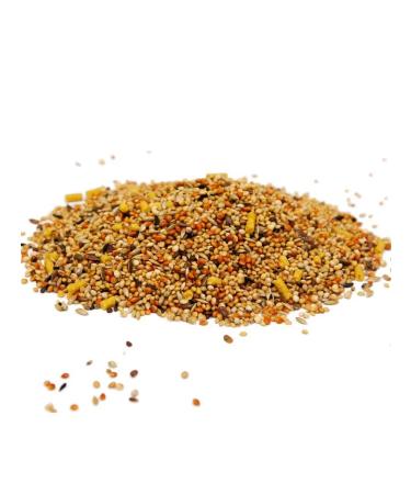 FIORY Feed for exotic birds 400 g 2 pcs - Buy Online on GoSupps.com