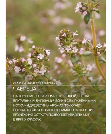 Lavender Land Handmade natural soap - Buy Online on GoSupps.com