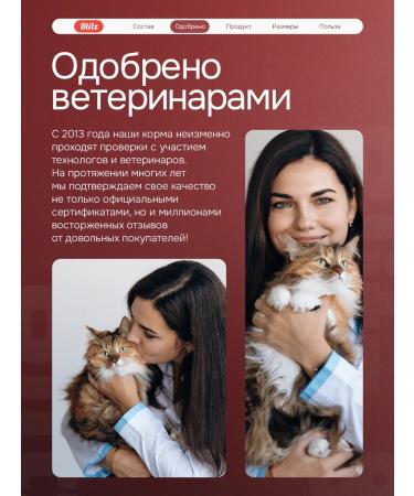 BLITZ Feed for cats dry 10 kg with chicken - Buy Online on GoSupps.com