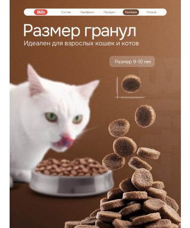 BLITZ Dry food for cats with turkey 10 kg - Buy Online on GoSupps.com