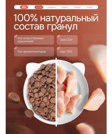 BLITZ Cat food dry 10 kg chicken and turkey - Buy Online on GoSupps.com