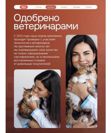 BLITZ Cat food dry 10 kg chicken and turkey - Buy Online on GoSupps.com