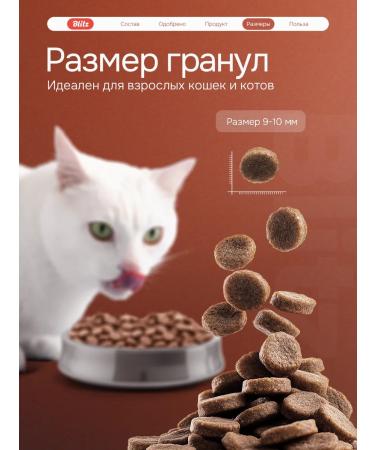 BLITZ Cat food dry 10 kg chicken and turkey - Buy Online on GoSupps.com