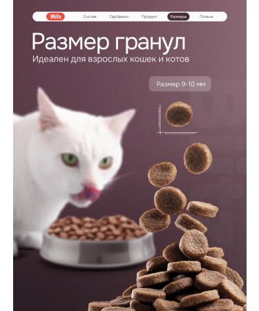 BLITZ Dry food for cats with lamb 10kg - Buy Online on GoSupps.com