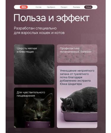 BLITZ Dry food for cats with lamb 10kg - Buy Online on GoSupps.com