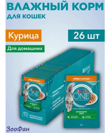 PURINA ONE Wet food for domestic cats with chicken and carrots 75GX26