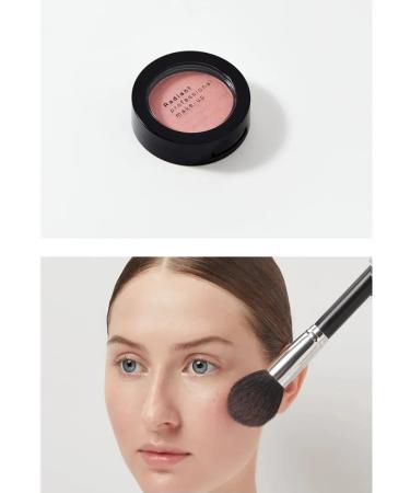 Radiant Professional MakeUp Blush Color 107 pink blossom - Buy Online on GoSupps.com