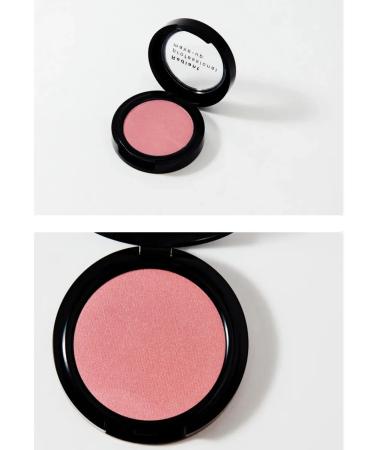 Radiant Professional MakeUp Blush Color 111 Blush Blush - Buy Online on GoSupps.com