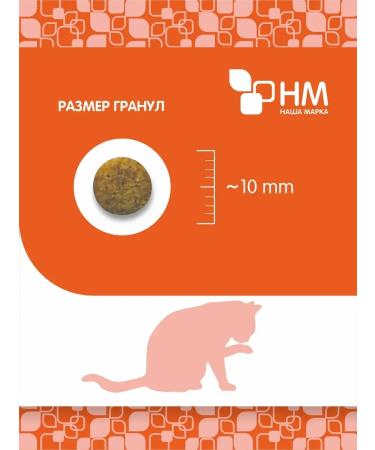 OUR BRAND for adult cats chicken and rice - Buy Online on GoSupps.com