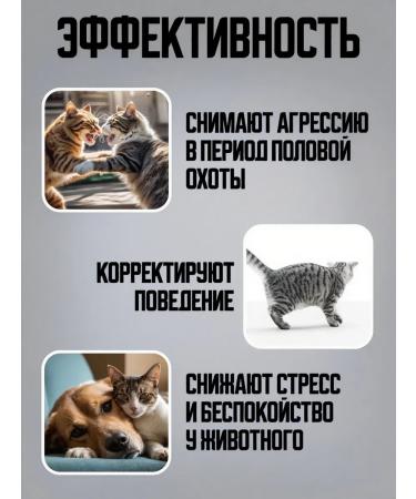 Mechanical Source Drops sedatives for cats and bitches 50 ml - Buy Online on GoSupps.com