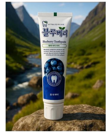 Hanil Blueberry Toothpaste toothpaste