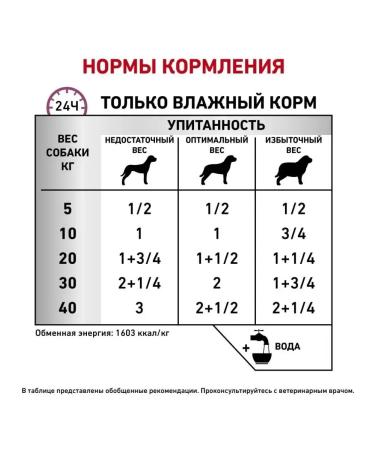 ROYAL CANIN Canned food for dogs Renal Special 410 g - Buy Online on GoSupps.com