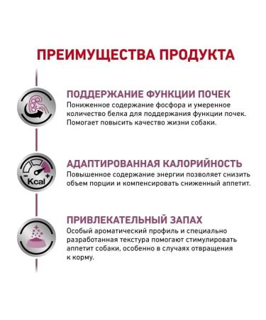 ROYAL CANIN Canned food for dogs Renal Special 410 g - Buy Online on GoSupps.com