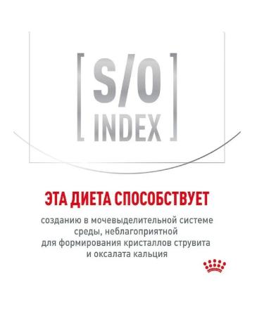 ROYAL CANIN Dry feeding for dogs 2kg - Buy Online on GoSupps.com