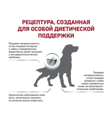 ROYAL CANIN HYPOALLERGENIC Dry Form for dogs 2 kg - Buy Online on GoSupps.com