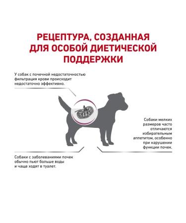 ROYAL CANIN Dry food Renal Small Dogs 1.5 kg - Buy Online on GoSupps.com