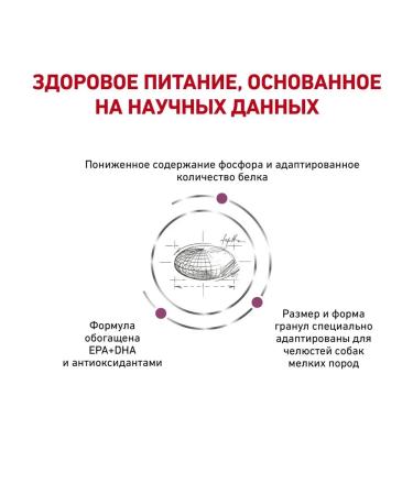 ROYAL CANIN Dry food Renal Small Dogs 1.5 kg - Buy Online on GoSupps.com