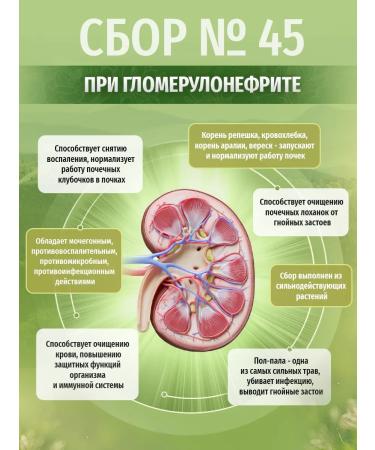 Herbs of the Caucasus Herbal collection No. 45 with glomerulonephritis - Buy Online on GoSupps.com
