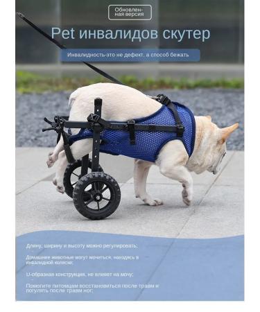 Pets Dogs Doga Doga Dogs - Buy Online on GoSupps.com