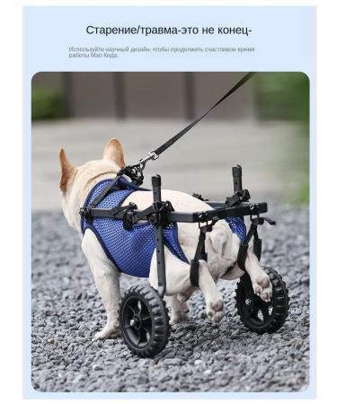 Pets Dogs Doga Doga Dogs - Buy Online on GoSupps.com