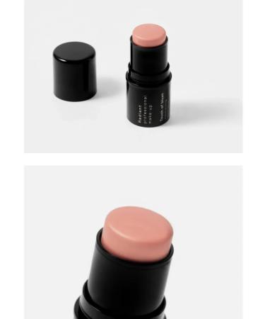 Radiant Professional MakeUp Moisturizing blush for the face in the stick Touch of Blush 05 Persian - Buy Online on GoSupps.com