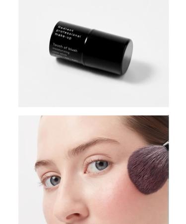 Radiant Professional MakeUp Moisturizing blush for the face in the stick Touch of Blush 05 Persian - Buy Online on GoSupps.com