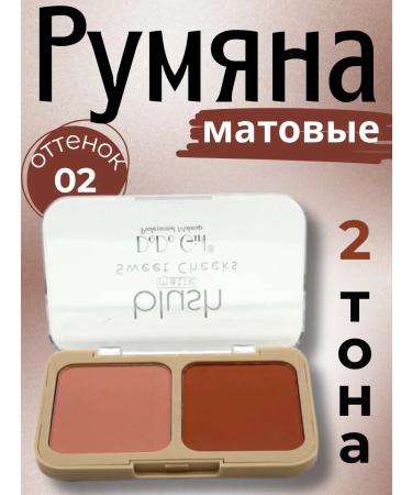 DISH Blush tone 02