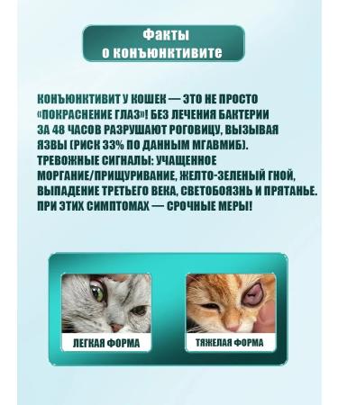 Eye drops for cats 60ml - Buy Online on GoSupps.com