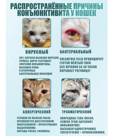 Eye drops for cats 60ml - Buy Online on GoSupps.com