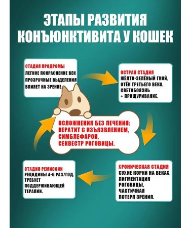 Eye drops for cats 60ml - Buy Online on GoSupps.com