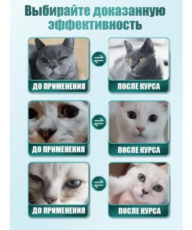 Eye drops for cats 60ml - Buy Online on GoSupps.com