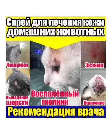 Therapeutic spray from skin diseases in cats