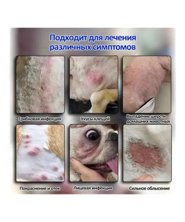 Therapeutic spray from skin diseases in cats - Buy Online on GoSupps.com