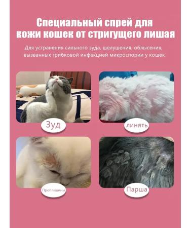 Therapeutic spray from skin diseases in cats - Buy Online on GoSupps.com