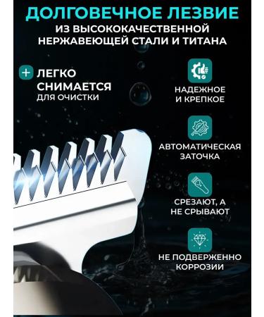 Trimmer for a beard and male must -shall be shave universal - Buy Online on GoSupps.com