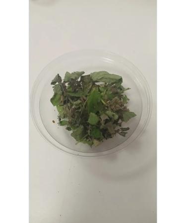 Melissa dried collection (leaflets of sprig flowers) - Buy Online on GoSupps.com