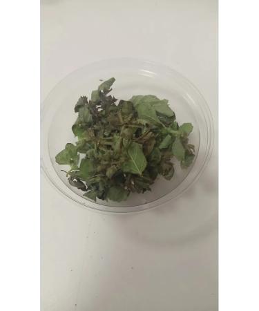 Melissa dried collection (leaflets of sprig flowers) - Buy Online on GoSupps.com