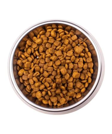 MONGE VetSolution Cat Renal cat food 1.5 kg - Buy Online on GoSupps.com