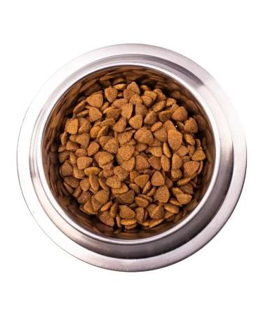 MONGE Dry food for dogs VetSolution Cardiac Dog 2 kg - Buy Online on GoSupps.com