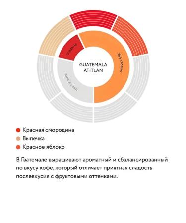 JARDIN Coffee soluble Guatemala Atitlan 2x95g - Buy Online on GoSupps.com