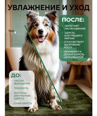 Dog shampoo 300 ml - Buy Online on GoSupps.com