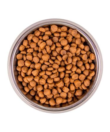 MONGE Bwild Bezernovaya for kittens from a buffalo meat 1.5 kg - Buy Online on GoSupps.com