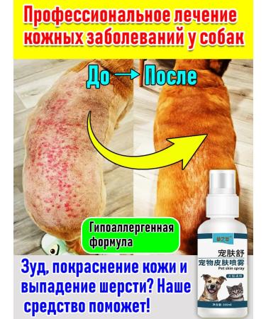 Spray for the treatment of skin diseases in cats and dogs 100 ml