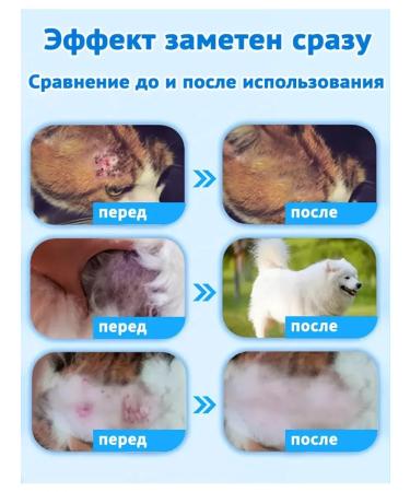 Spray for the treatment of skin diseases in cats and dogs 100 ml - Buy Online on GoSupps.com