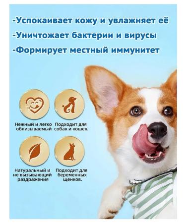 Spray for the treatment of skin diseases in cats and dogs 100 ml - Buy Online on GoSupps.com