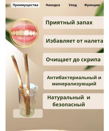 iMuslim Sivak for teeth Misvak mint 3 pcs - Buy Online on GoSupps.com